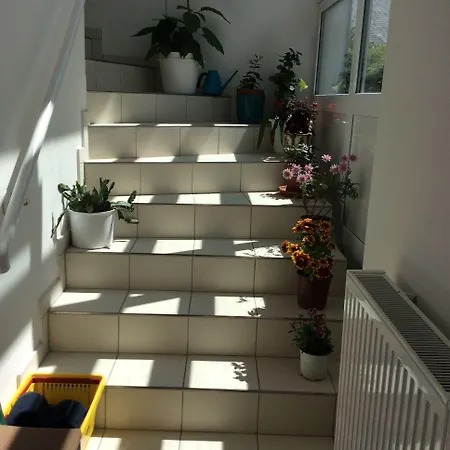 Blumenhotel Hotel 3*