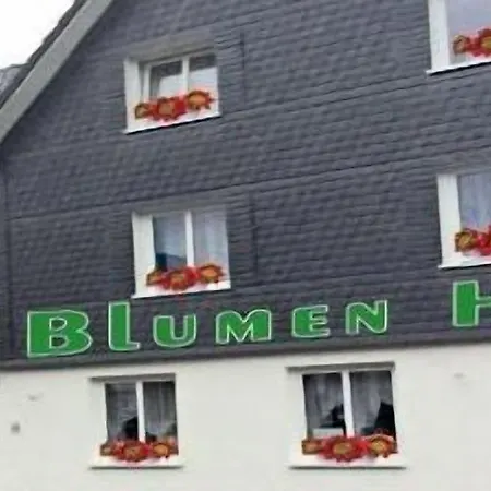 Blumenhotel 3* 베르그노이스타트