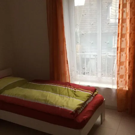 Blumenhotel 3* 베르그노이스타트