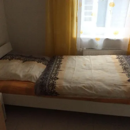 Blumenhotel 호텔 베르그노이스타트