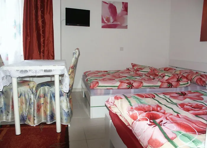 Blumenhotel فندق Bergneustadt