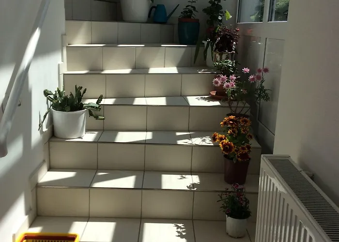 Blumenhotel Szálloda 3*